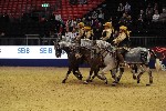 Quadrille - 00866